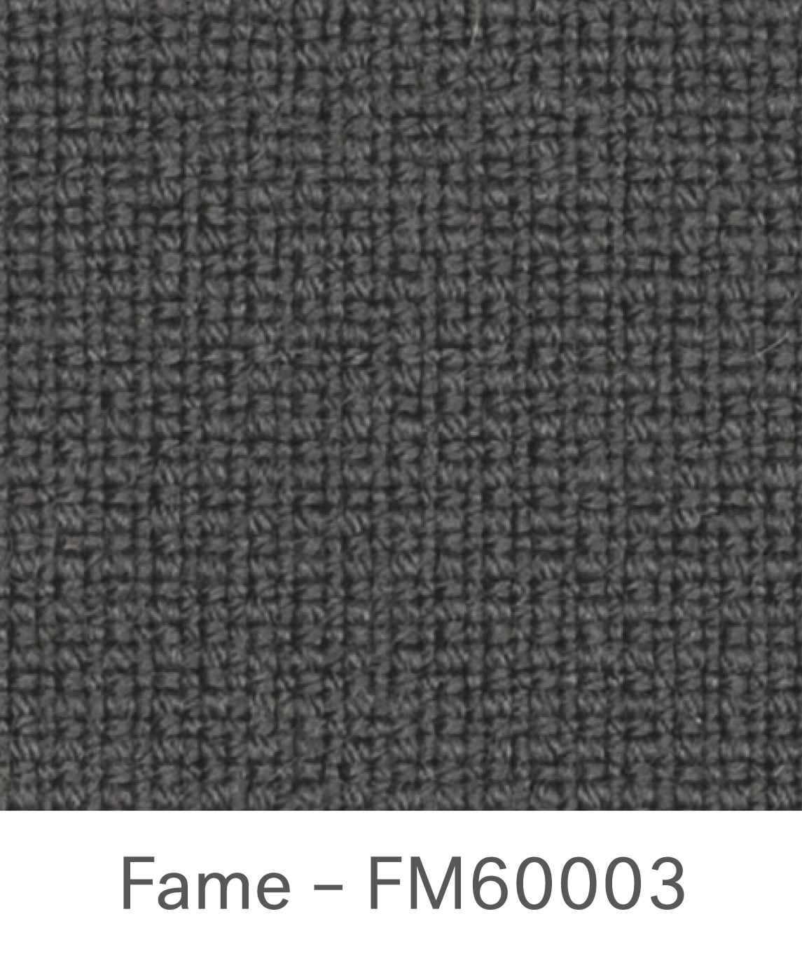 Fame FM60003