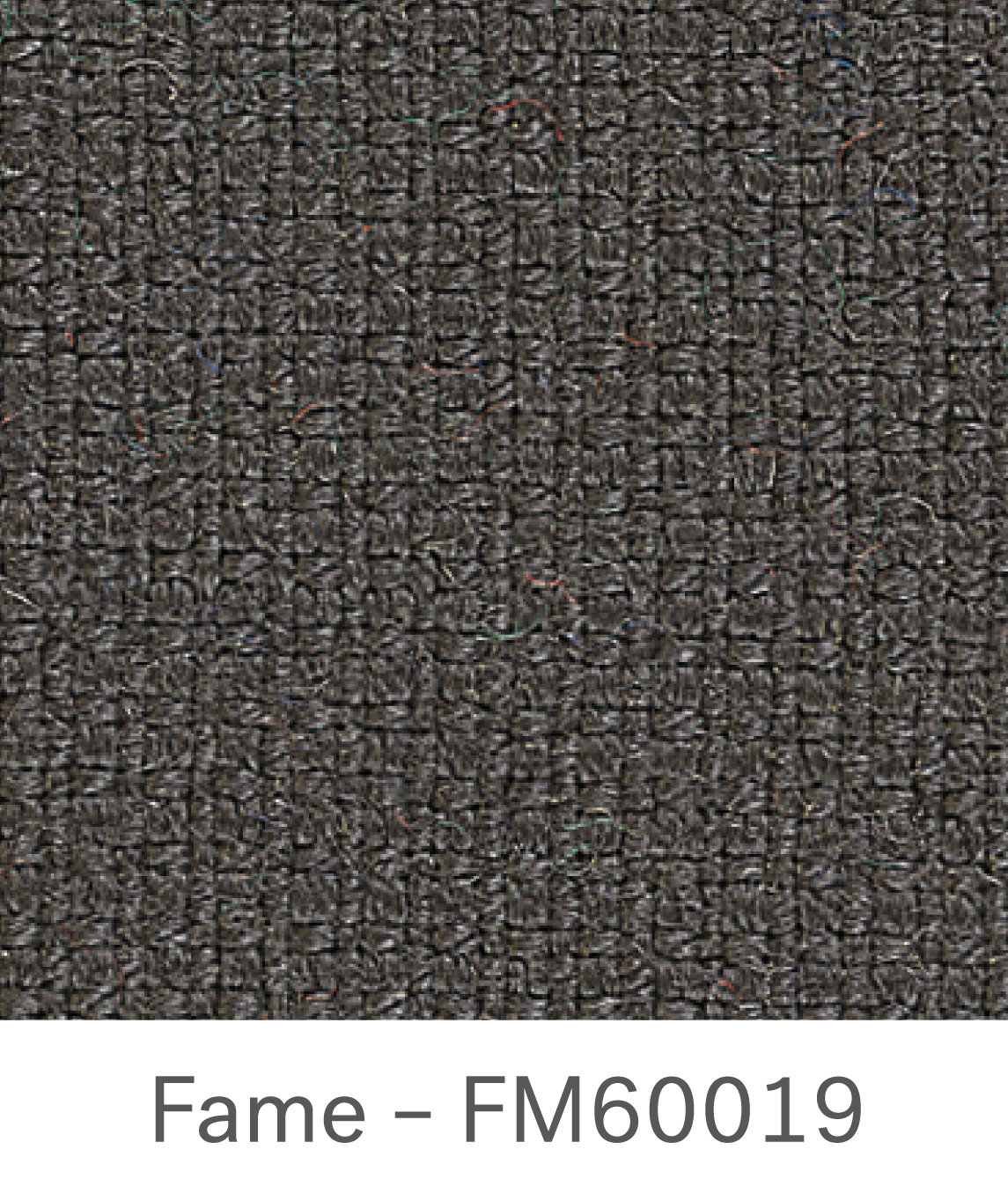 Fame FM60019