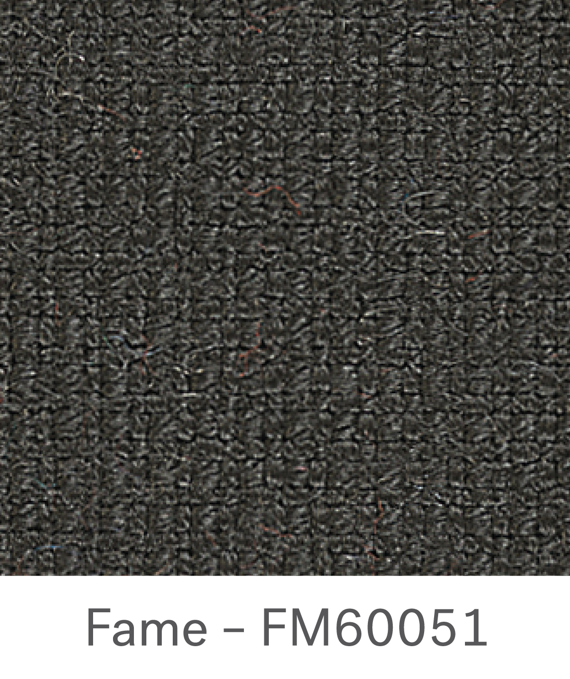 Fame FM60051