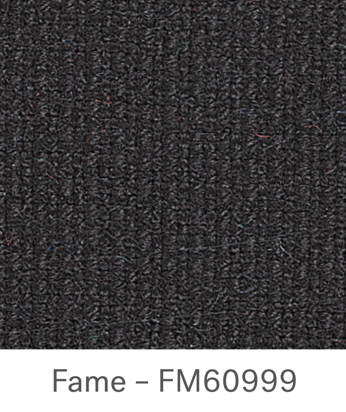 Fame FM60999