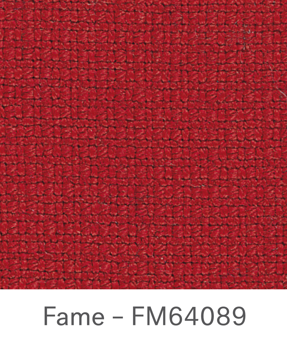Fame FM64089