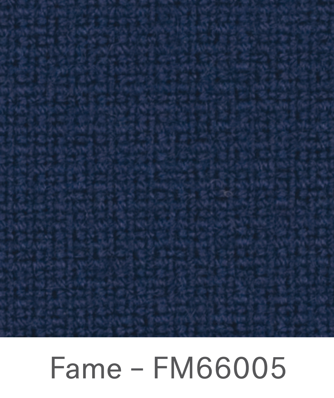 Fame FM66005
