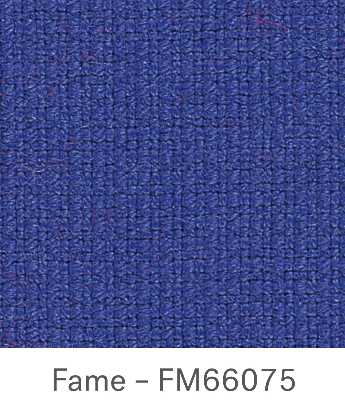 Fame FM66075