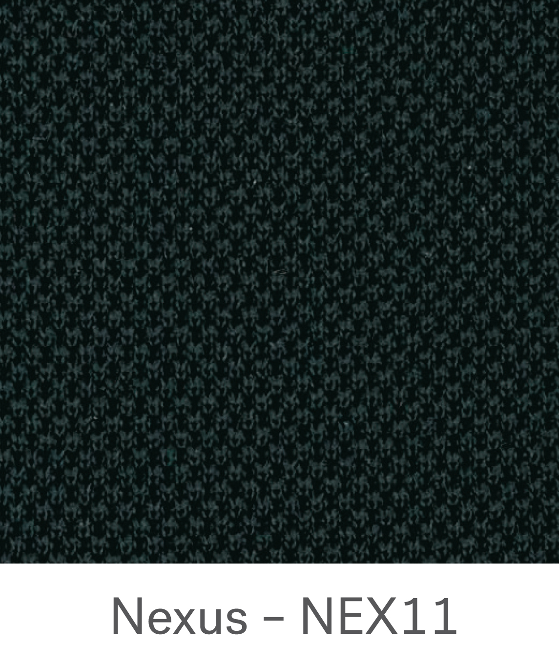 NEXUS – NEX11