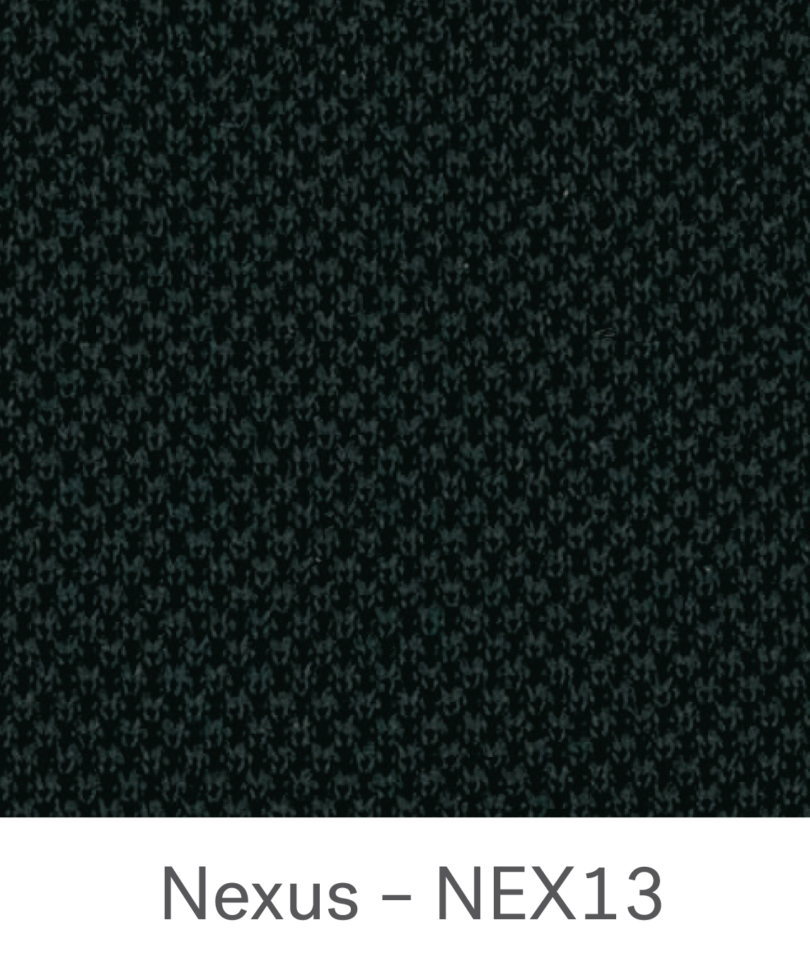 NEXUS – NEX13