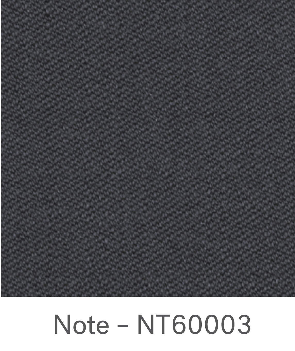 Note (Gabriel) – NT600003