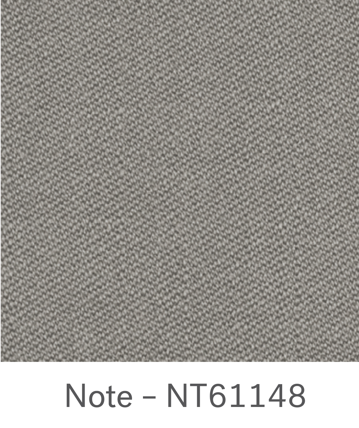 Note (Gabriel) – NT61148